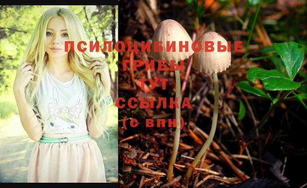 MDMA Абаза