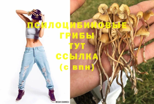 амф Гусиноозёрск