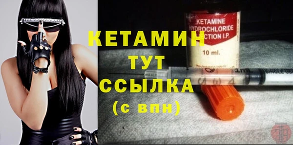шишки Саяногорск