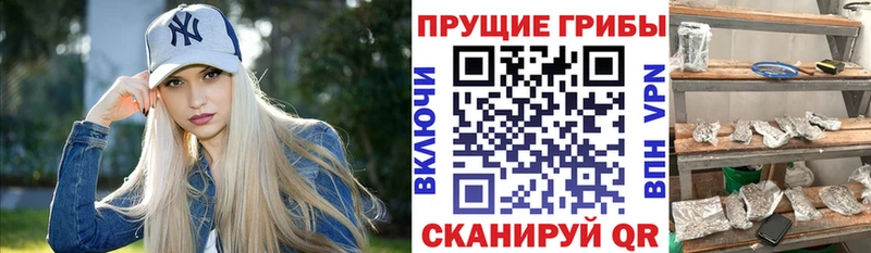 Псилоцибиновые грибы Cubensis  KRAKEN зеркало  Закаменск 